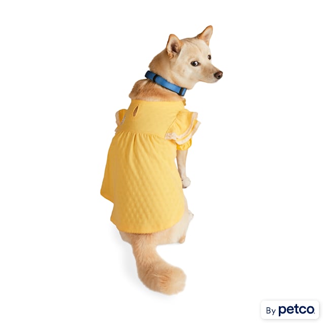 Petco dog clothes discount