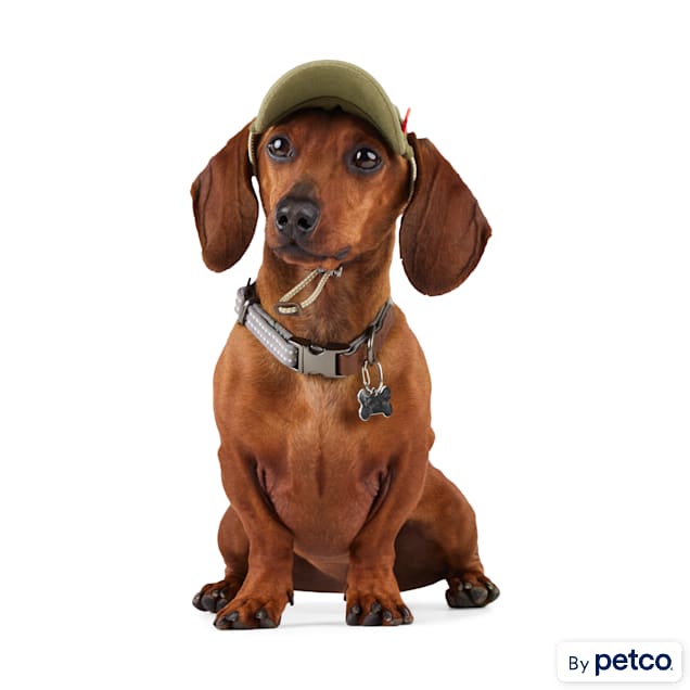 Reddy Olive Partner in Crime Hat for Dogs, X-Small/Small - Carousel image #1