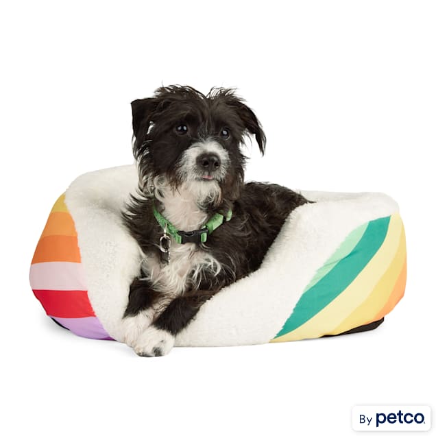 Petco pet beds clearance