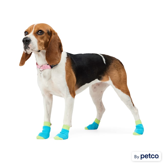 Dog shoes for summer petco deals