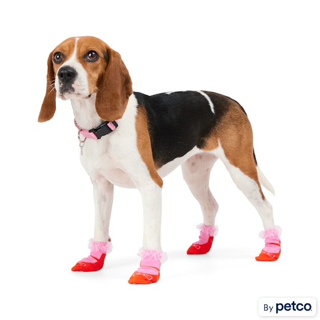 YOULY Ruffle Sock for Dogs, X-Small/Small - Carousel image #1