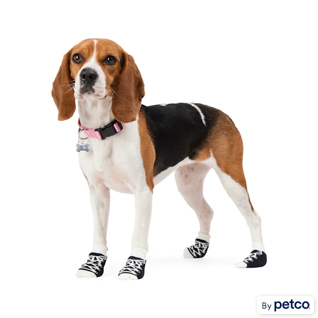 YOULY Lace Up Sock for Dogs X Small Small Petco