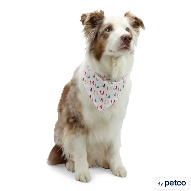 Petco birthday bandana outlet