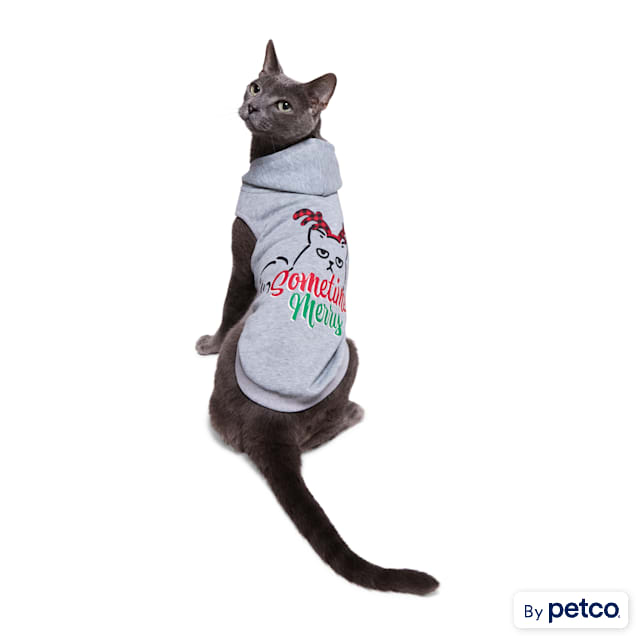 Petco Cat Adoption dispersed 2024