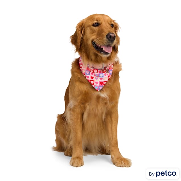 YOULY Valentine's Day Reversible Dog Bandana, Small/Medium, Pink Hearts - Carousel image #1