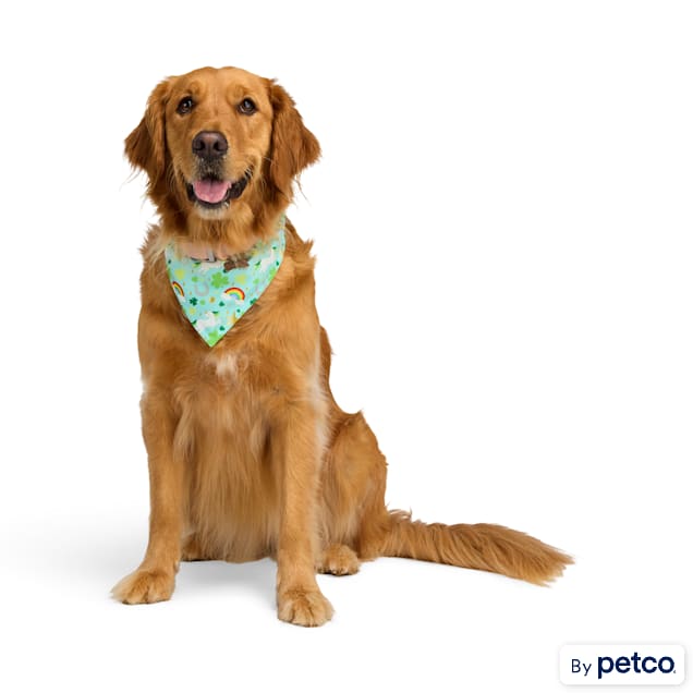 YOULY St. Patrick's Day Dog Bandana, Small/Medium, Green Graphic - Carousel image #1