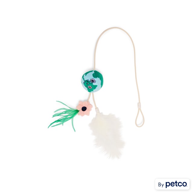 Started As A Bottle Earth Day Cat Teaser - Carousel image #1