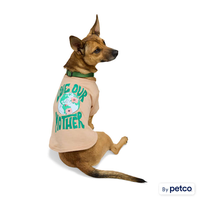 Started As A Bottle Earth Day Dog T-Shirt, Gray Graphic, X-Small - Carousel image #1