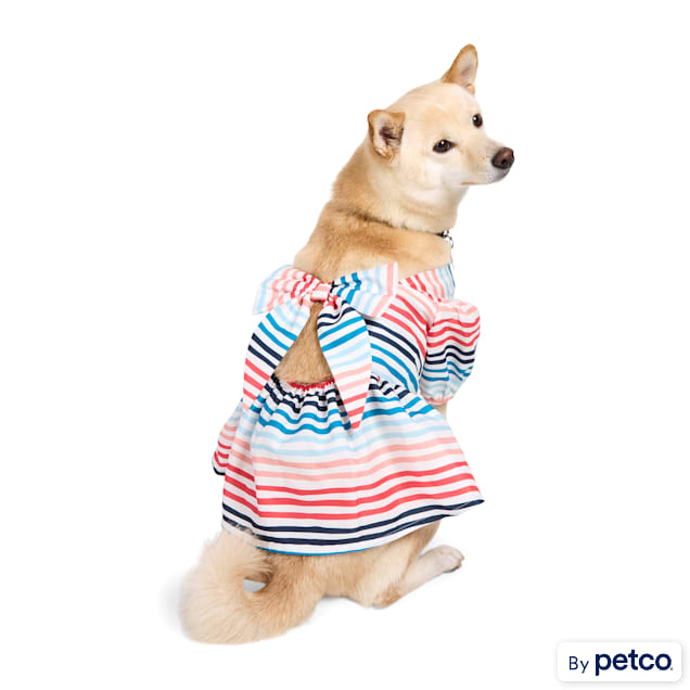 Started As A Bottle Striped Dog Dress, Stripe, XX-Small - Carousel image #1