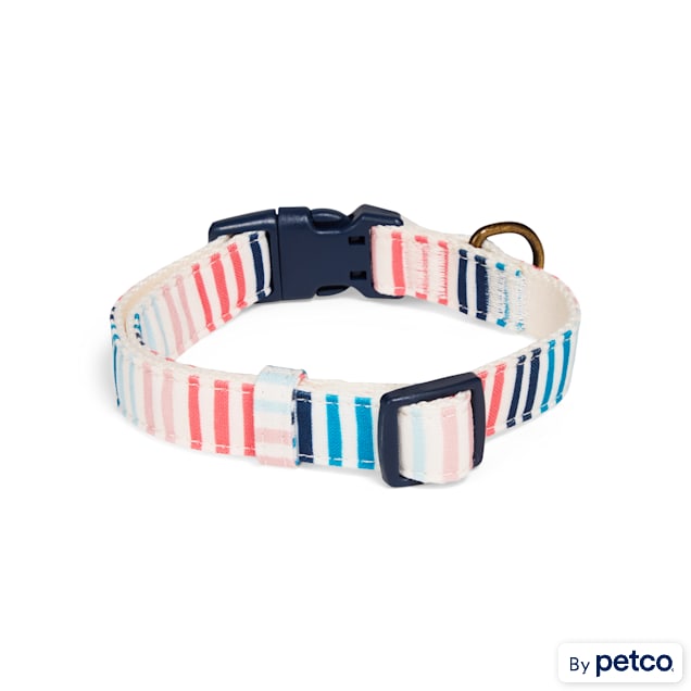 Started As A Bottle Striped Dog Collar, Small - Carousel image #1