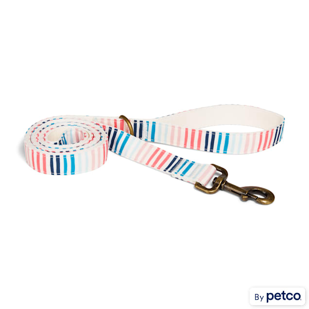 Started As A Bottle Striped Dog Leash, 6 ft - Carousel image #1