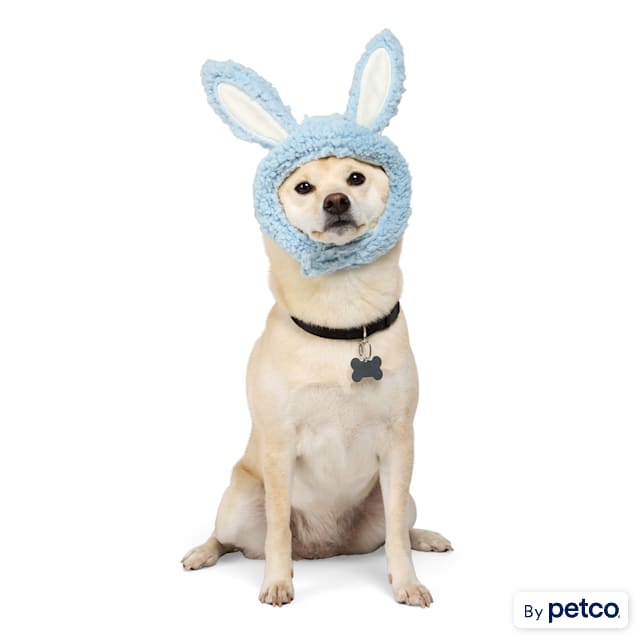 YOULY Bunny Ears Pet Hat, X-Small/Small, Blue - Carousel image #1