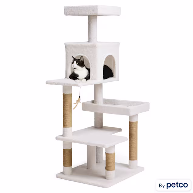EveryYay Cozy Condo 5-Level Cat Tree for Large Cats, 54.7" H - Carousel image #1