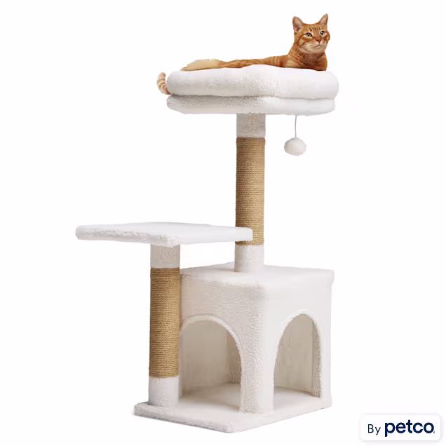EveryYay Cozy Condo 2-Level Cat Tree, 31.9" H - Carousel image #1