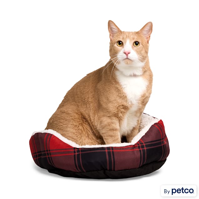 EveryYay Essentials Step-In Cat Bed, 16" H X 16" W X 5" H, Small, Buffalo Check - Carousel image #1