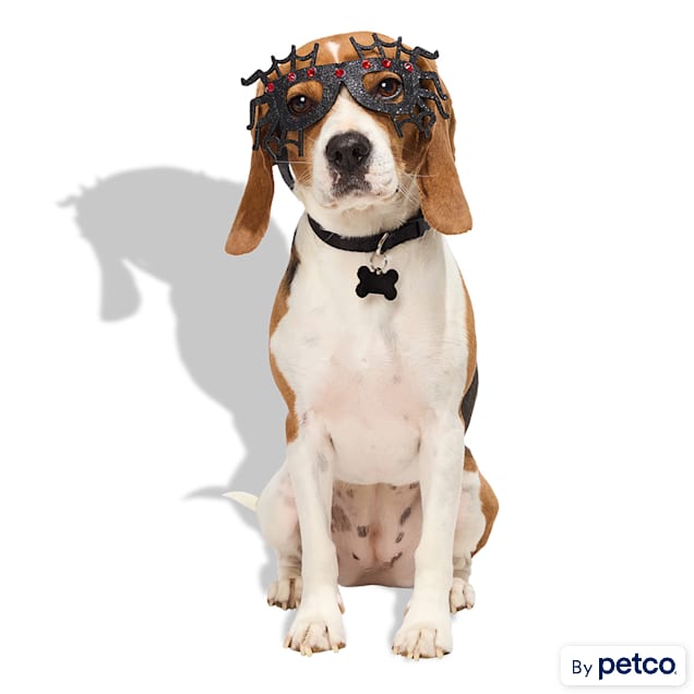 Bootique Spider Prop Costume Pet Glasses - Carousel image #1