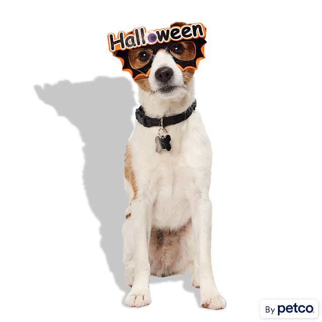 Bootique Halloween Prop Costume Pet Glasses - Carousel image #1