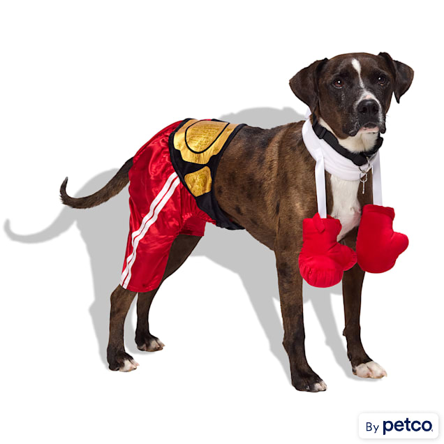 Bootique Boxer 2-Piece Dog Halloween Costume, Large/X-Large - Carousel image #1