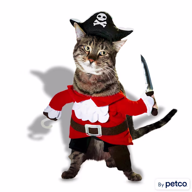 Bootique Pirate Cat Costume, X-Small - Carousel image #1