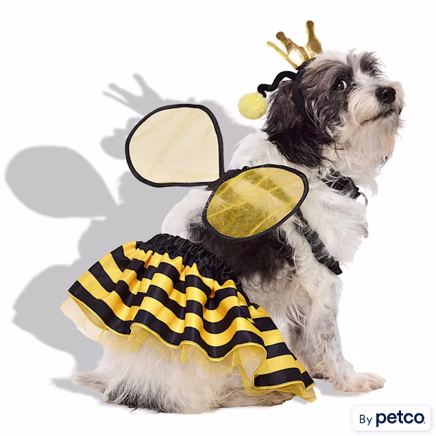 Bootique Queen Bee 3-Piece Pet Halloween Costume, Medium - Carousel image #1