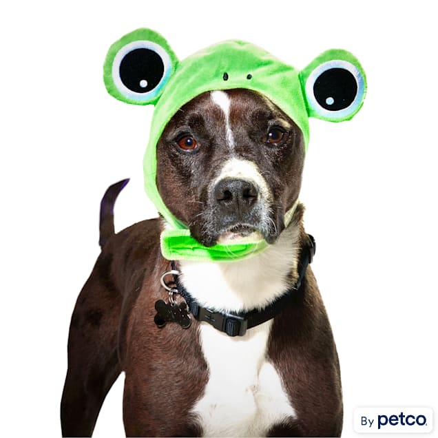 Bootique Frog Pet Costume Headpiece, Large/X-Large - Carousel image #1
