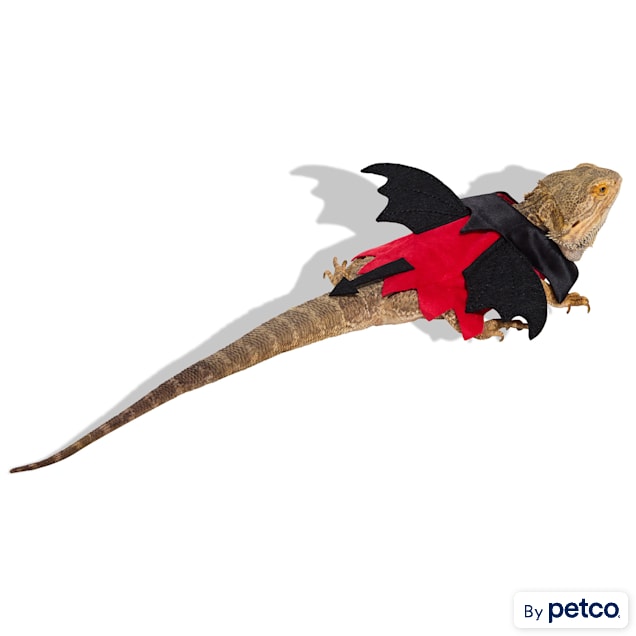 Bootique Devil Bearded Dragon Halloween Costume - Carousel image #1