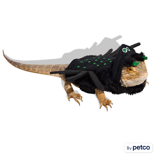 Bootique Spider Bearded Dragon Halloween Costume - Carousel image #1