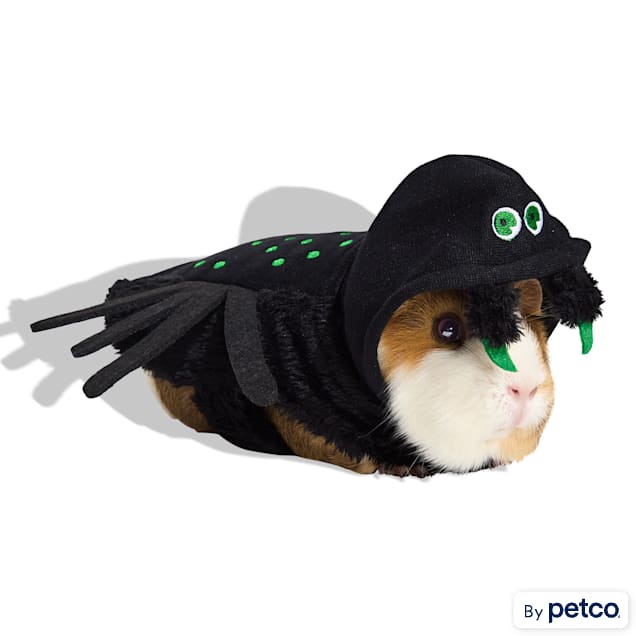 Bootique Spider Small Animal Pet Halloween Costume - Carousel image #1