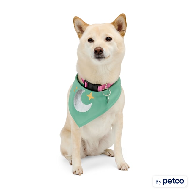 YOULY Star & Moon Pet Bandana, X-Small/Small - Carousel image #1
