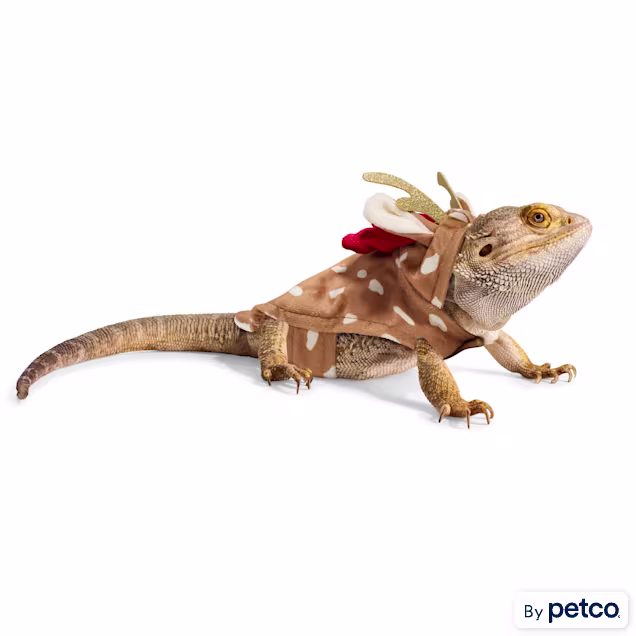 Merry Makings Reindeer Bearded Dragon Costume - Carousel image #1