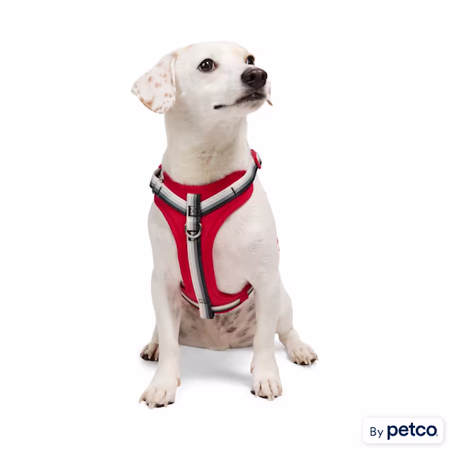 YOULY Comfort Neoprene Dog Harness, Red, X-Small - Carousel image #1