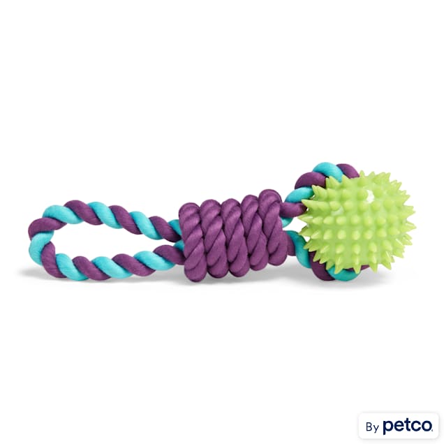 Leaps & Bounds Spiney Rope Chew & Tug Dog Toy, Small - Carousel image #1
