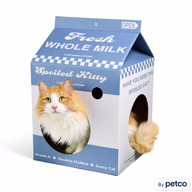 EveryYay Milk Carton Cat Scratch Condo, 19.88" H - Carousel image #1