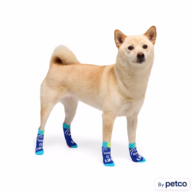 YOULY Ball Is Life Dog Socks, X-Small/Small - Carousel image #1
