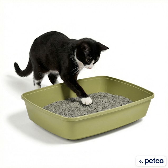 So Phresh Open Cat Litter Box, 19.5