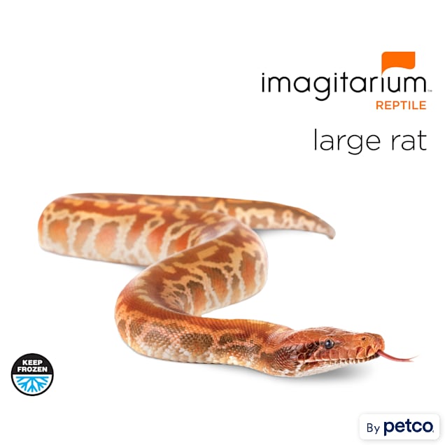 Frozen Large Rat - 1 Count - Carousel image #1