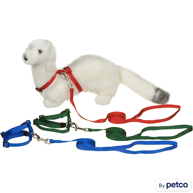 Ferret collar cheap and lead