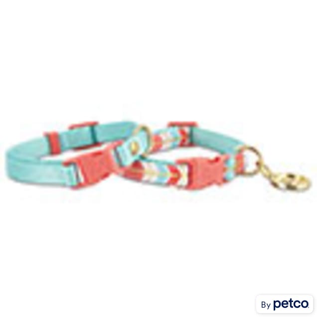 Very small shop dog collars