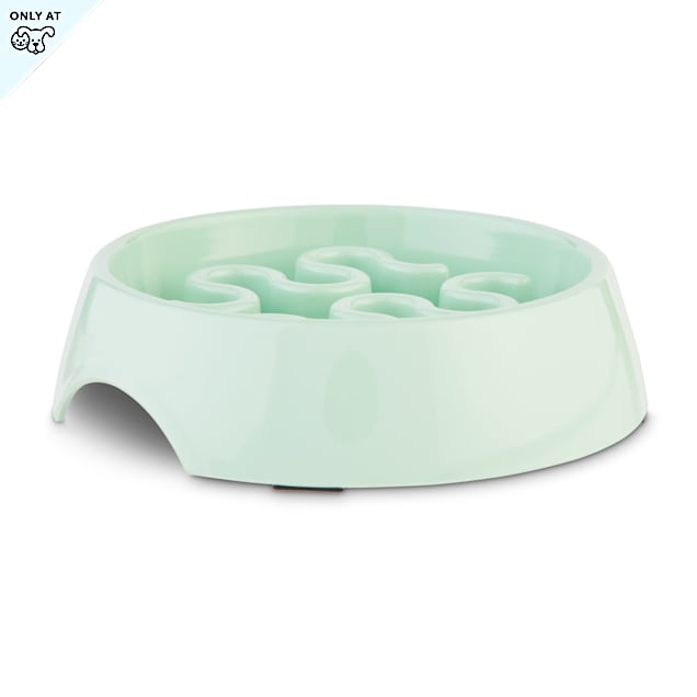 Harmony Mint Plastic Slow Feeder Dog Bowl, Small Petco