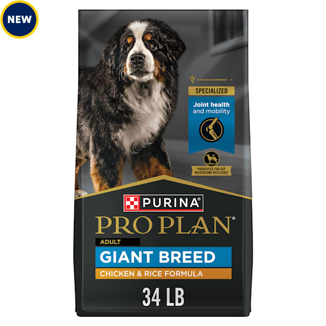 Purina pro plan large breed savor new arrivals
