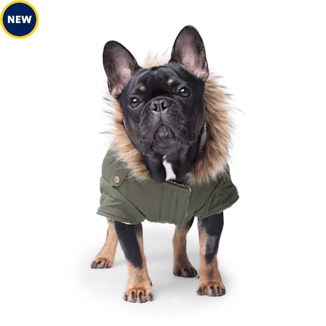 Canada Pooch Green Alaskan Army Parka for Dogs, Size 18, Large Petco