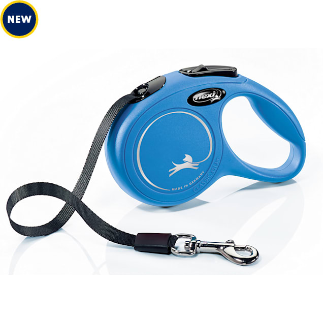 Dog leash 10 ft 2025