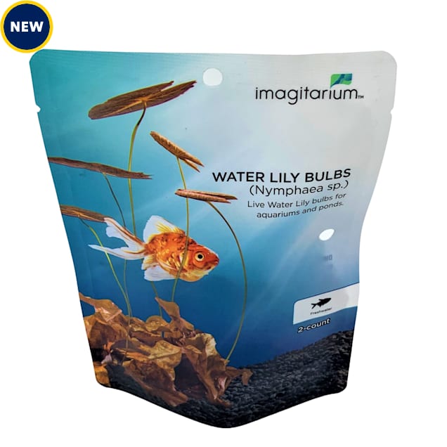 Lily Bulb Pack Petco