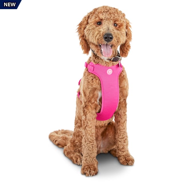 YOULY The Champion Pink Dog Harness, X-Large/XX-Large | Petco