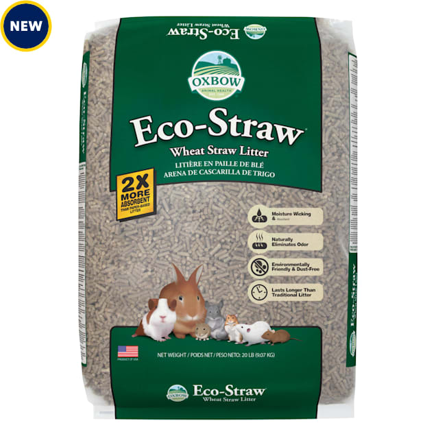 Pine bedding for ferrets online