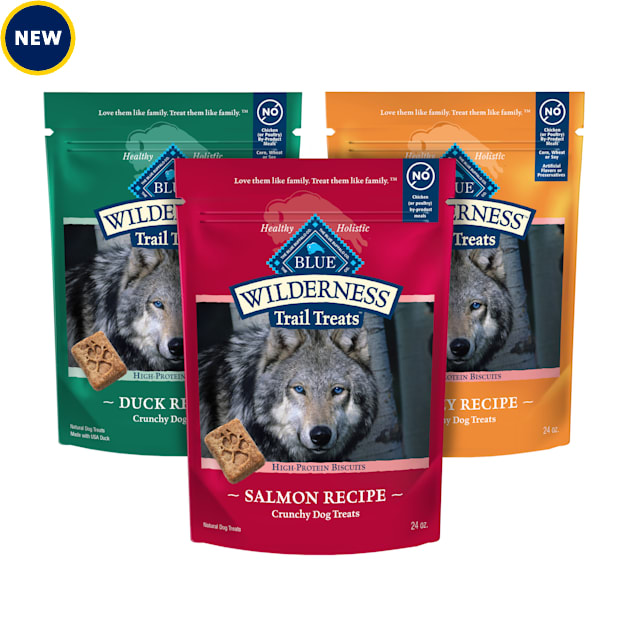 Blue buffalo salmon dog treats clearance