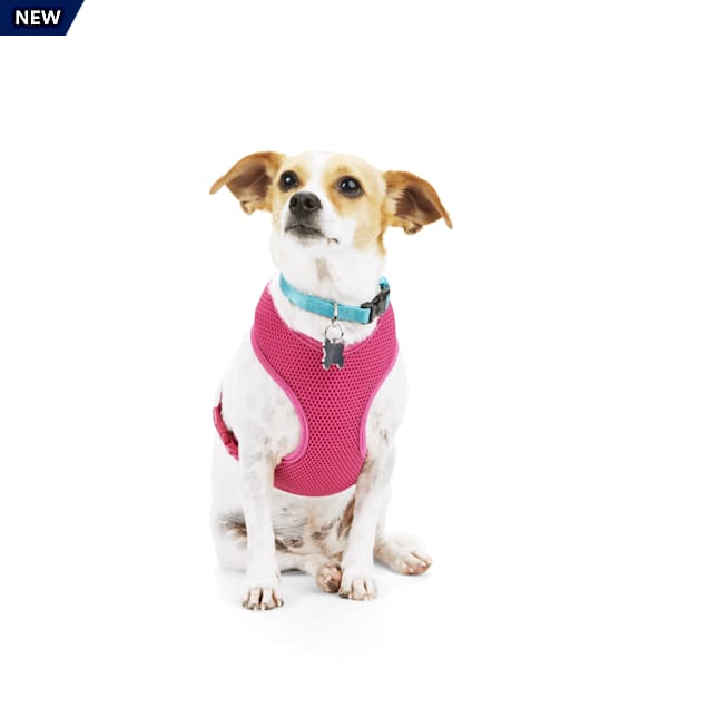 YOULY The Classic Hot Pink Mesh Dog Harness