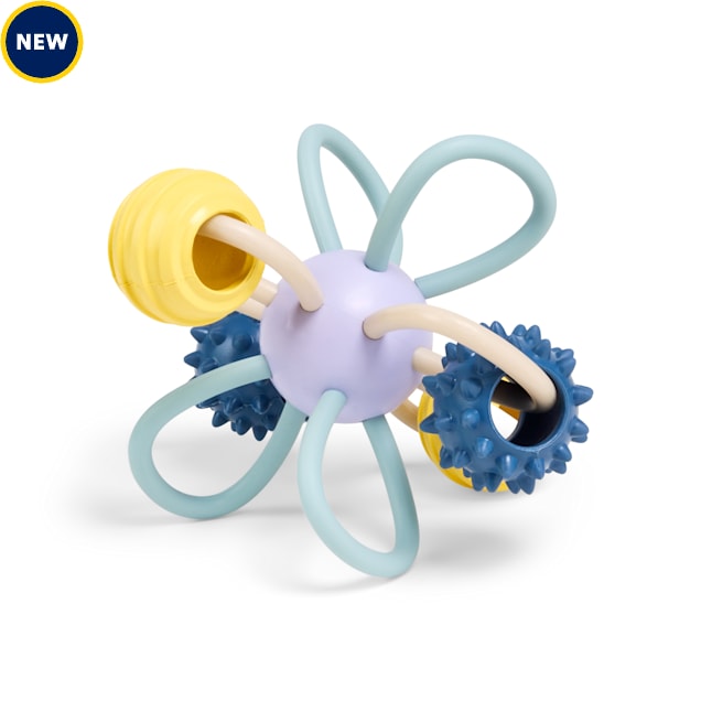 Leaps & Bounds Puppy Occupy Toy, Medium Petco