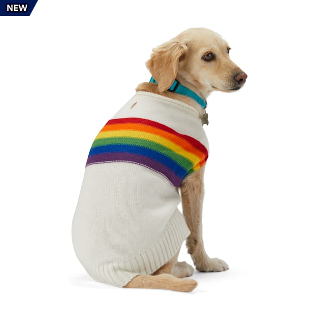 Petco small dog sweaters clearance
