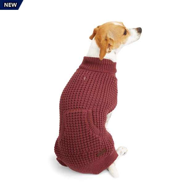 Petco small dog sweaters clearance